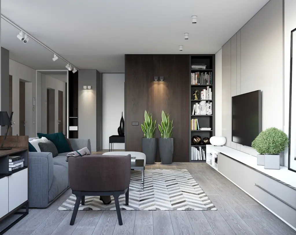 Modern Living Room Design Ideas - Spacious looking