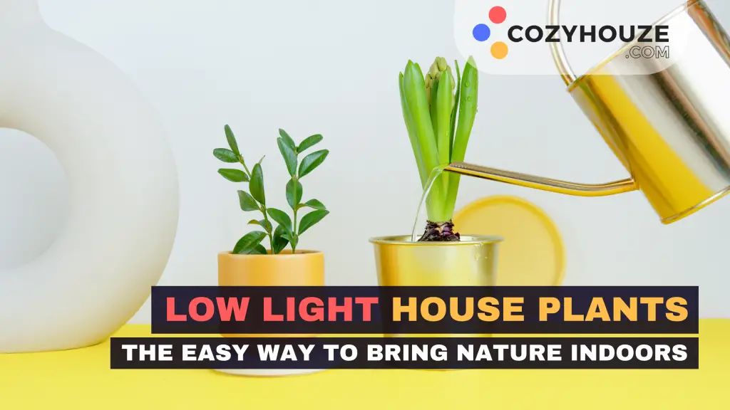 Low Light House Plants - Featured