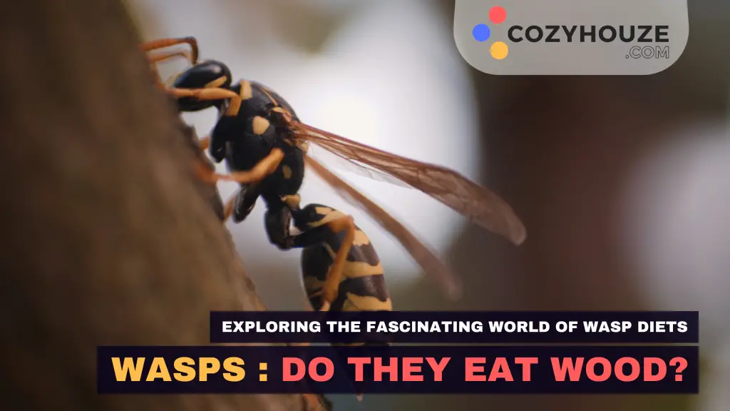 Do Wasp Eat Wood - Featured