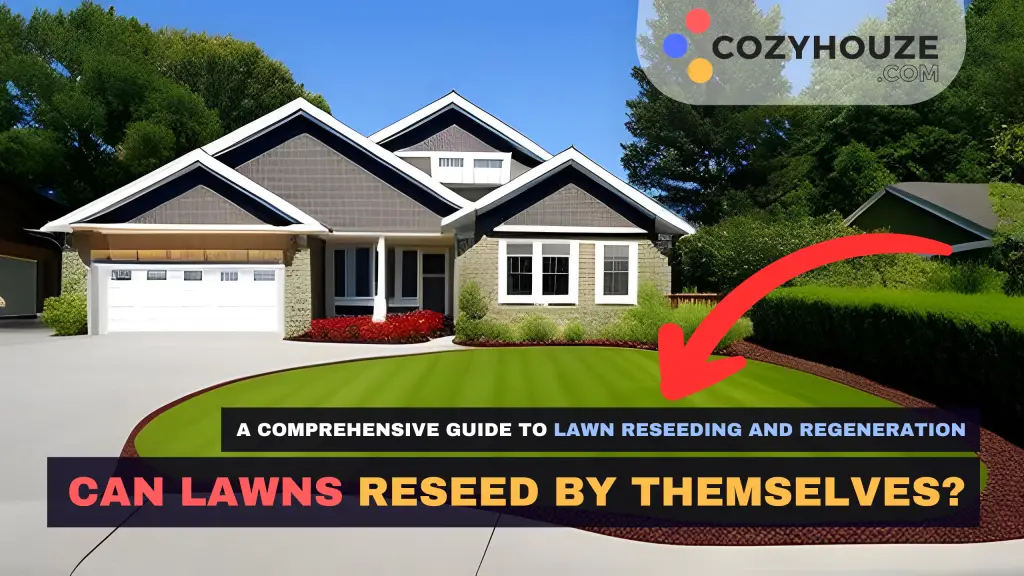Lawns Self Reseeding - Featured