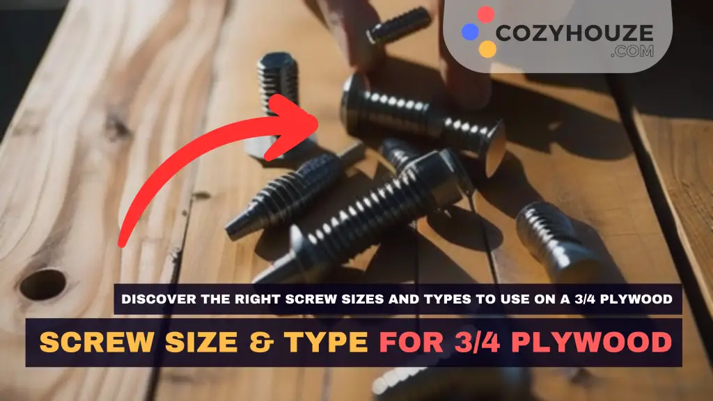 Screw Size and Type for 3/4 Plywood