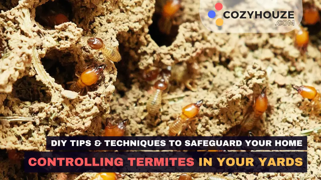 Termites in Yard - Featured
