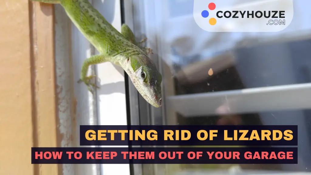 Get Rid of Lizards in Garage - Featured